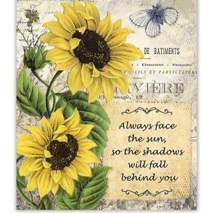 Meet your Posher, Tobey